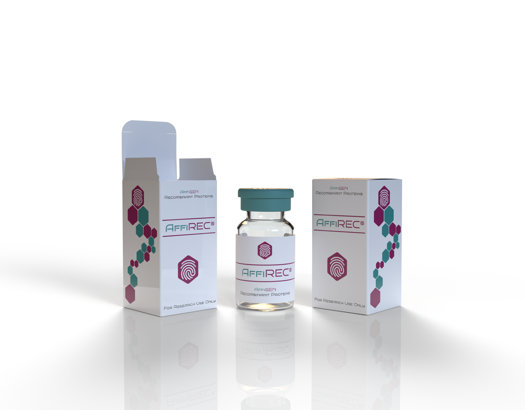 AffiREC® Bovine Myotrophin (MTPN) Recombinant Protein
