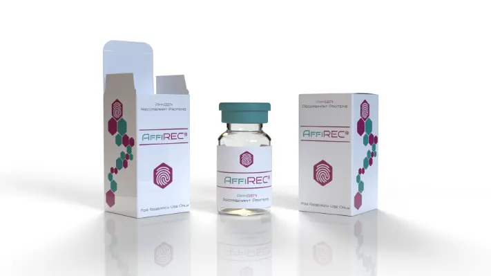 AffiREC® Recombinant Human Alpha-synuclein (SNCA)  - E.coli