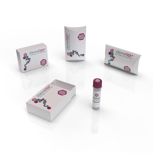 [AFG-IVR-0001] AffiREC® HCV Core Genotype-6a Protein